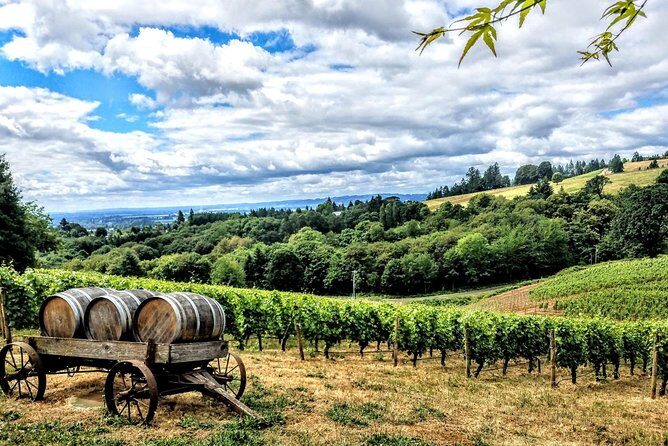 Willamette Valley Wine Tour - Full Day Tour - Itinerary Breakdown: What to Expect