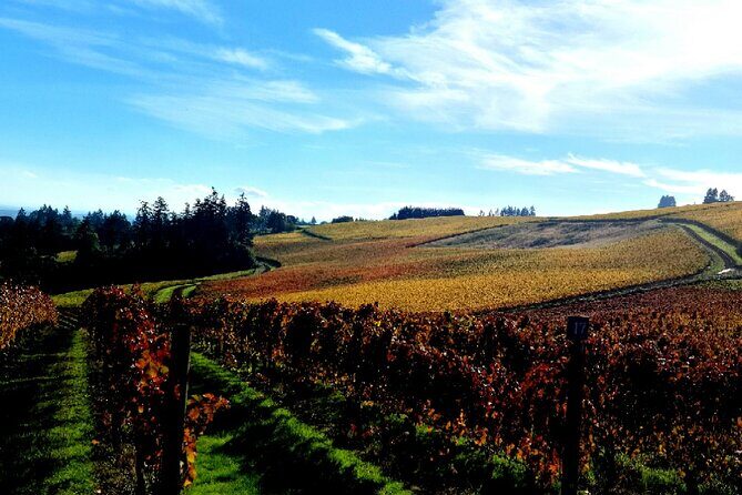 Willamette Valley Wine Tour with Lunch - Authentic Experiences and the Reviews