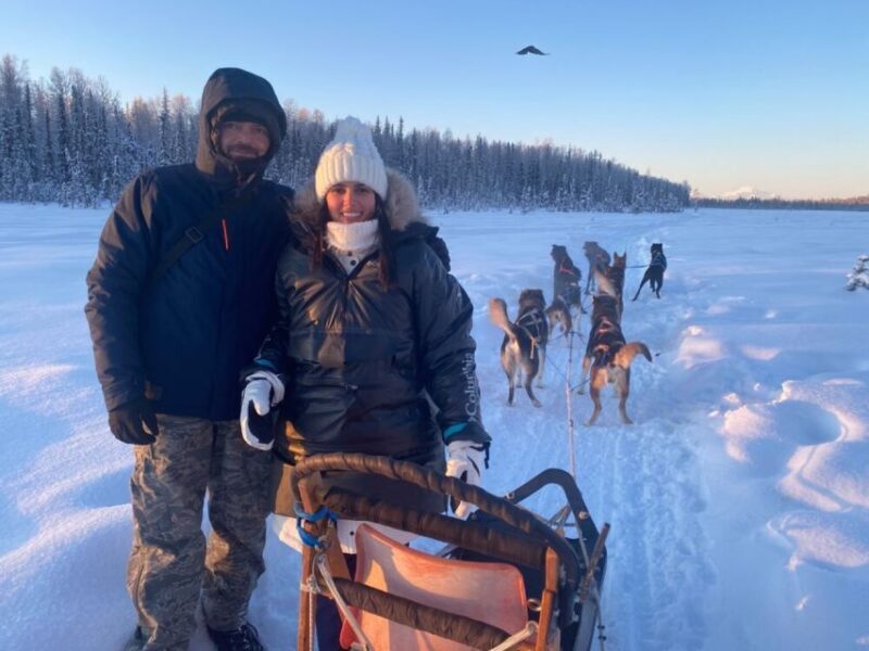 Willow: Traditional Alaskan Dog Sledding Ride - Key Points