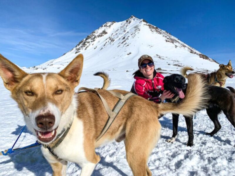 Willow: Traditional Alaskan Dog Sledding Ride - Setting the Scene: Where and When