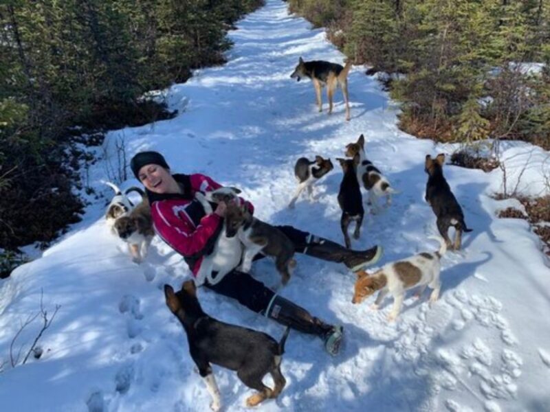Willow: Traditional Alaskan Dog Sledding Ride - Practical Tips for Travelers