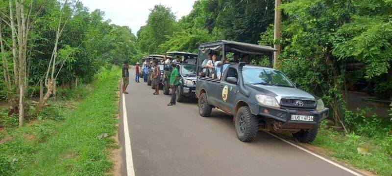 Wilpattu National Park : 5 Hours & 12 Hours Day Tours - Key Points
