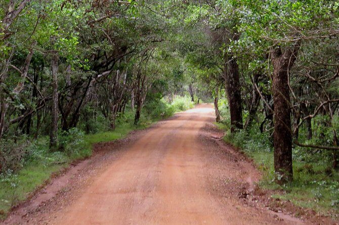 Wilpattu National Park Entrance Ticket with Private Safari - Final Thoughts