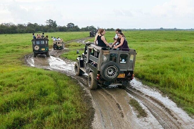 Wilpattu National Park Jeep Safari from Negombo / Waikkal (All Inclusive) - The Sum Up