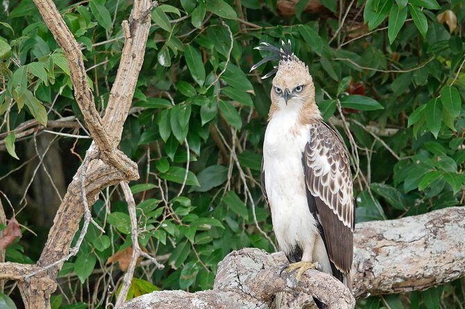 Wilpattu National Park Private Full Day Tour From Colombo - In-Depth Review of Wilpattu’s Full-Day Safari
