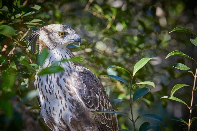 Wilpattu National Park Private Full Day Tour From Colombo - FAQ