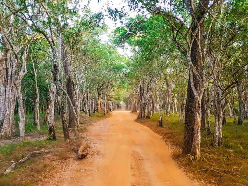 Wilpattu National Park: Private Safari - Final Thoughts