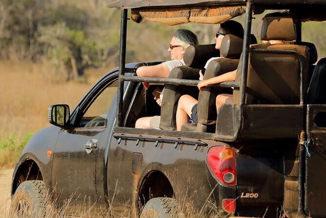 Wilpattu National Park Safari, Budget Tour from Colombo - A Deep Dive into the Wilpattu Safari Experience