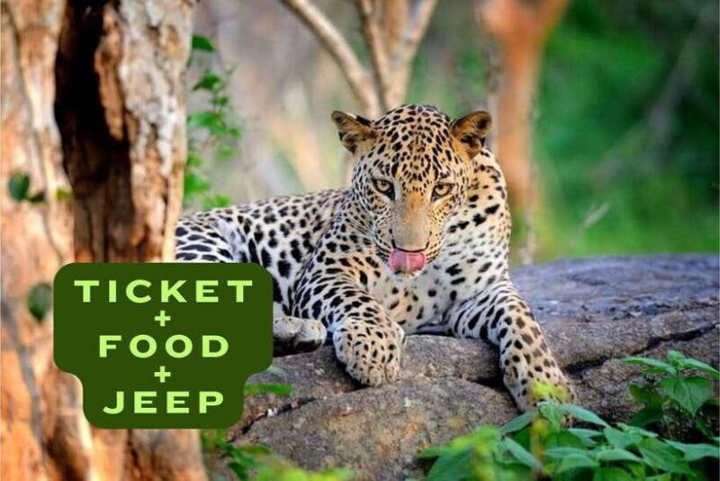 Wilpattu National Park Safari Jeep Tour - Who Will Love This Tour?