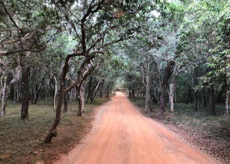 Wilpattu National Park Safari - Who is This Tour Best For?