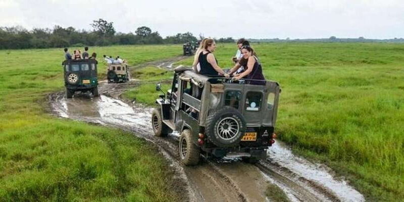Wilpattu National park with Safari jeep & Entrance ticket - The Itinerary in Detail