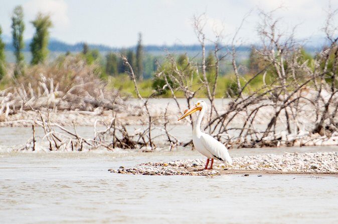 Wilson Scenic Float - FAQ
