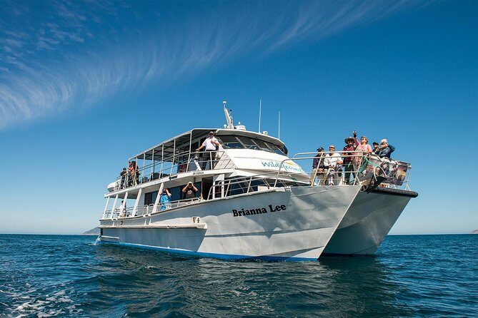 Wilsons Prom Whale Cruise - Key Points
