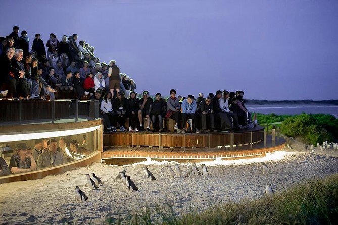 Wilsons Prom Whale Cruise - Final Thoughts: Who Should Consider This Tour?
