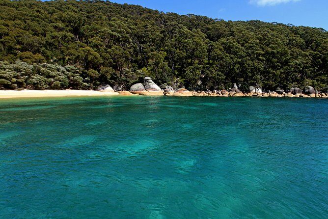 Wilsons Promontory Full Day Cruise - The Sum Up: Who Will Appreciate This Experience?