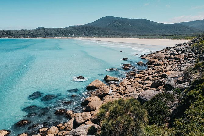 Wilsons Promontory Hiking Day Tour - 8 Person Max Small Group - Key Points
