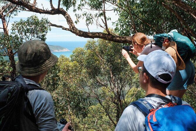 Wilson's Promontory Small Group Eco Tour from Melbourne - Who Will Love This Tour?