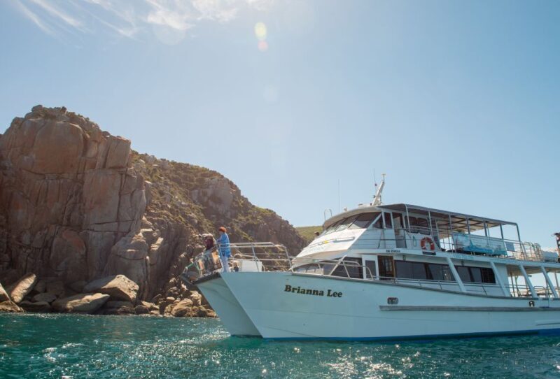 Wilsons Promontory: Whale Spotting Cruise with Lunch - The Sum Up