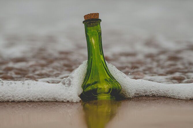 Wind Dancer Happy Hour Sail - Key Points