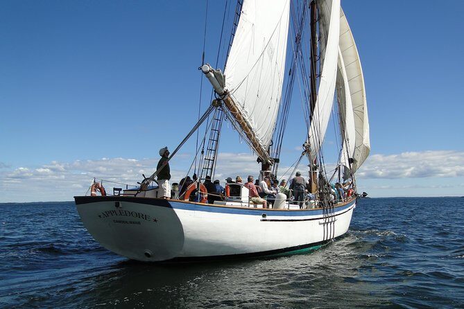 Windjammer Classic Day Sail from Camden, Maine - Key Points