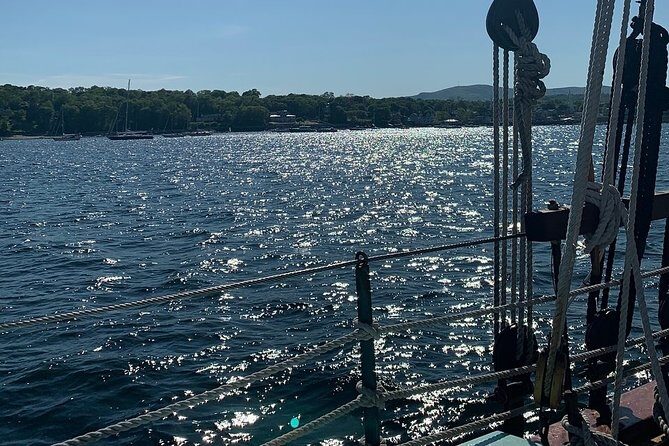 Windjammer Classic Day Sail from Camden, Maine - Wildlife & Scenery: The Unexpected Delights