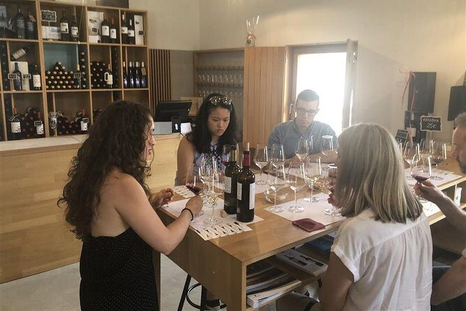 Windmills of Don Quixote Wine Tour & Tasting from Madrid - Who Will Love This Tour?