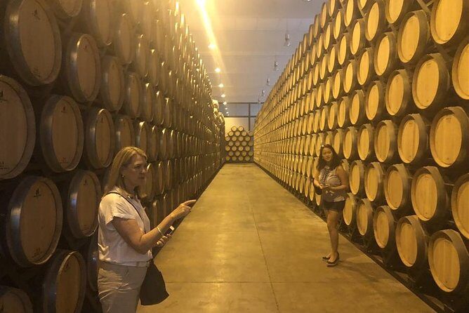 Windmills of Don Quixote Wine Tour & Tasting from Madrid - Frequently Asked Questions