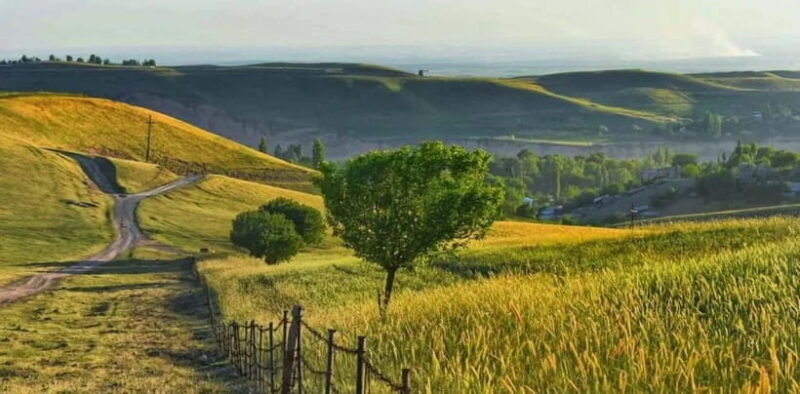 Windows Desktop Theme - Poppy Fields from Tashkent - Key Points