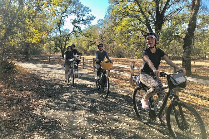 Windsor Bike 'N BeerTour - An In-Depth Look at the Windsor Bike N Beer Tour
