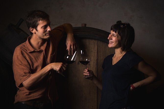 Wine Adventure with Peljesac Winery and Ston Tour - The Scenic Drive and Practicalities