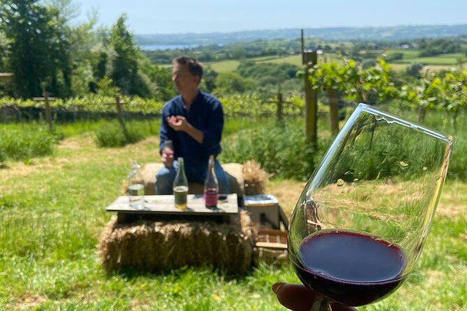 Wine and Cheese Tasting Tour in Cheddar Valley - Key Points