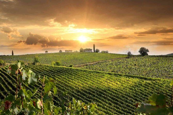 Wine and Cheese Tastings Southern Tuscany ShoreExcursion from Civitavecchia Port - Key Points