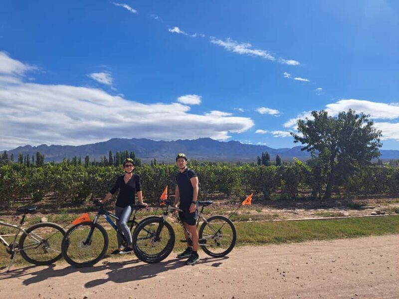 Wine and Chocolate Bike Tour: ride, taste, lunch, vineyards. - The Itinerary and What to Expect