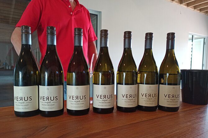 Wine and Culinary Adventure in Jeruzalem - Full Day Tour from Ljubljana or Ptuj - An In-Depth Look at the Jeruzalem Wine and Culinary Tour