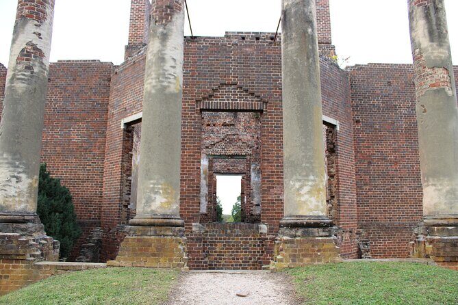 Wine and Culinary Delight Private Tour - An Inviting Taste of Virginia’s Wine and Food Scene