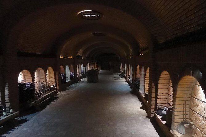 Wine and Culinary Tour in Kakheti Region - Who Should Consider This Tour?