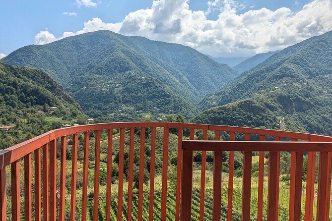Wine and Dine Tour To Batumi Waterfalls - Mountainous Adjara - The Sum Up