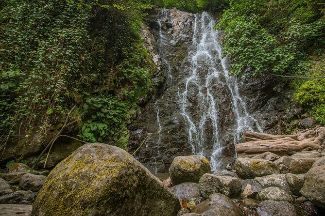 Wine and Dine Tour To Batumi Waterfalls - Mountainous Adjara - FAQs
