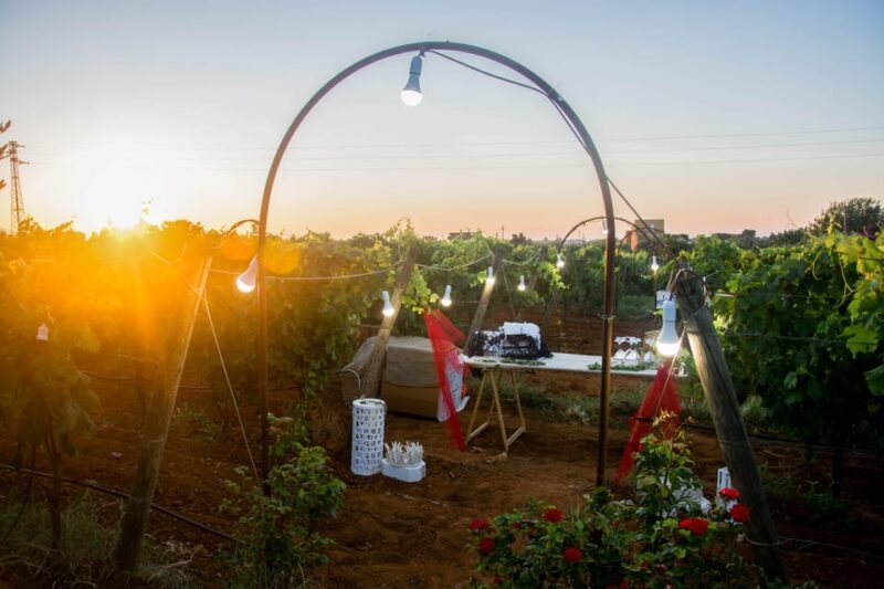 Wine and food at sunset - Key Points