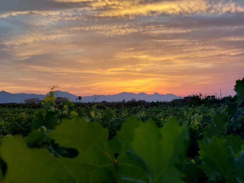Wine and food at sunset - The Sum Up