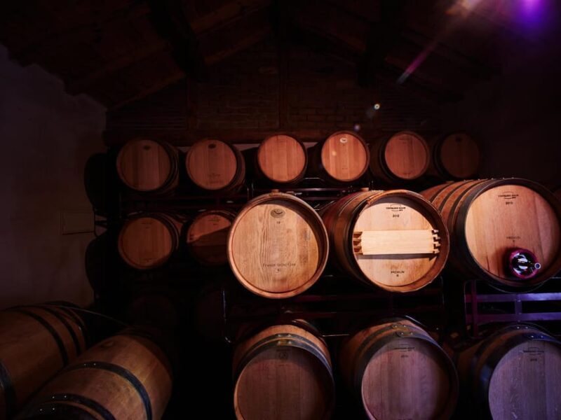 Wine and Food Pairing Tasting Las dos Antiguas- Bodega Artesanal Segovia - A Genuine Look at a Small-Scale Spanish Winery: Las dos Antiguas in Segovia