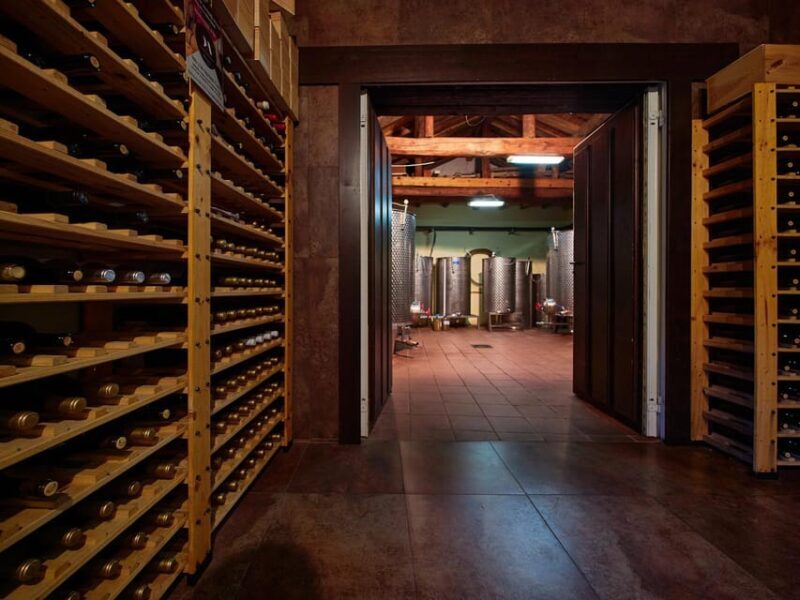 Wine and Food Pairing Tasting Las dos Antiguas- Bodega Artesanal Segovia - Exploring a Small-Scale Gem: What Makes Las dos Antiguas Special?