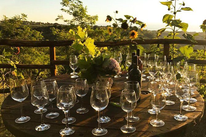 Wine and food tasting - Discovering Tropea’s Hidden Flavors: A Wine and Food Tasting Tour