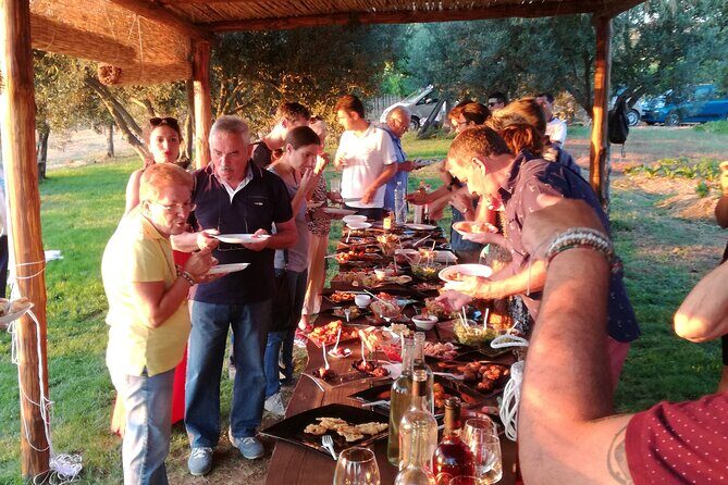Wine and food tasting - The Sum Up: Why Choose This Tour?