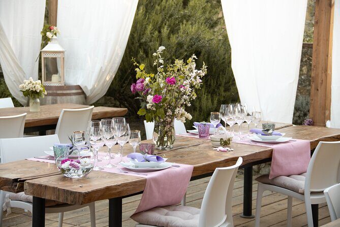 Wine and food tasting in an organic family winery - Frequently Asked Questions