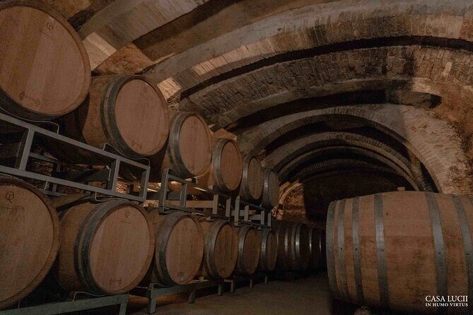 Wine and food tasting in an organic family winery - Final Thoughts