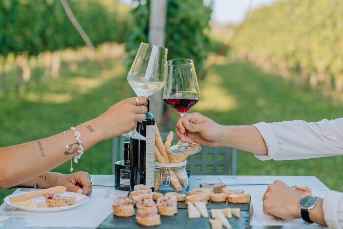 Wine and Food Tasting in the Vineyards in Lazise - Frequently Asked Questions