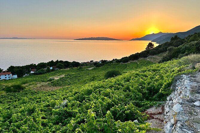 Wine and Gastro Private Tour in Peljesac - Key Points