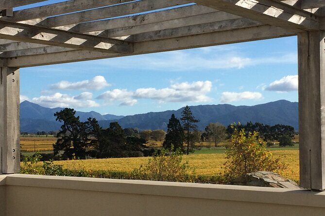 Wine and Gourmet Picnic Experience of Marlborough - Key Points