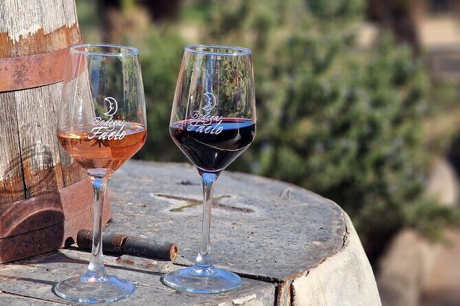 Wine and Tapas Tasting Tour from Alicante, Private Van - Exploring Alicante’s Wineries: A Private Wine and Tapas Tasting Tour